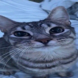 @a059p
