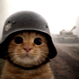 @A6sg6