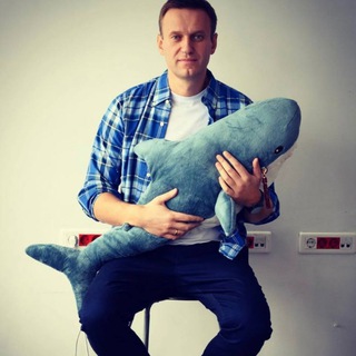 @a_navalny