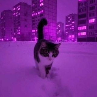 @A_PQM
