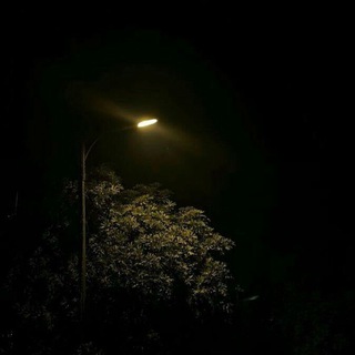 @a_s_q