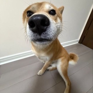 @a_tang3