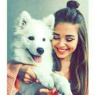 @aannaasaa