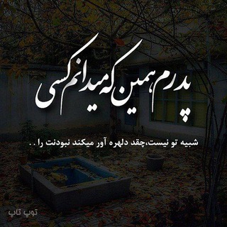 @Abolfazl_rz1986