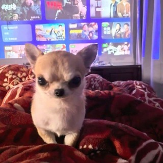 @AD1RE7NAL1NW