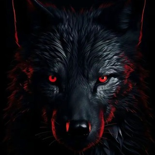 @ADMTELEGRAM