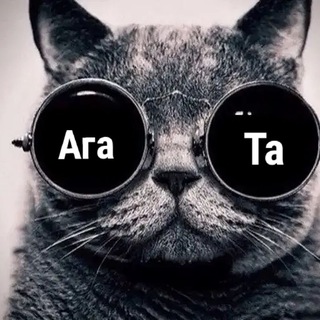 @agatadoxer1488