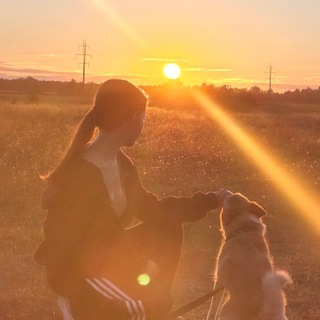 @Agent_Evan