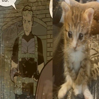 @agent_spider