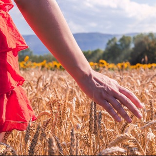 Агро Захист