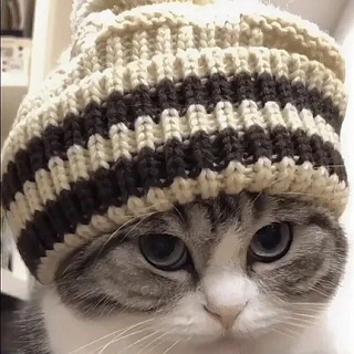 @Ai_lav_serek