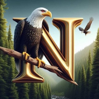 ۩NNj- news ۩ الاخبارية