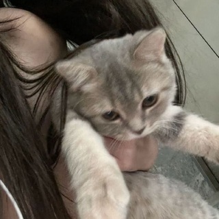 @ak1taaa