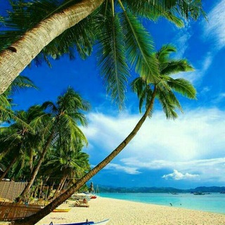 @akshayetabiat
