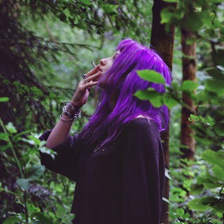 @aldersa_bot