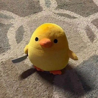 𝘼𝙡𝙚𝙭𝙖 𝙋𝙚𝙖𝙧𝙡🕊