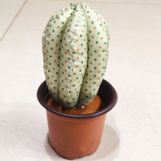 Алексей Ш (🌵