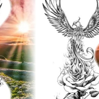 تولیدی الیاف وتشک وبالش طلوع سیمرغ
