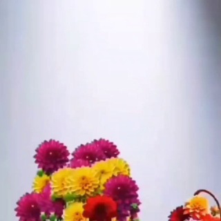 @alihasani813