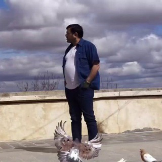 @aliheydarirasaneomid