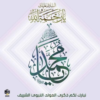 @alimakky80
