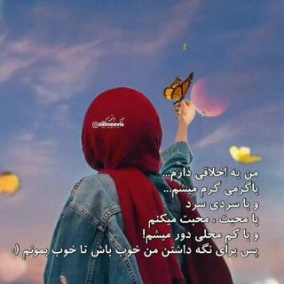 @alipour901