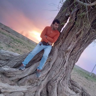 ╰⊱&hearts;️⊱╮ღ꧁ alirezasalarvandian ꧂ღ╭⊱&hearts;️≺