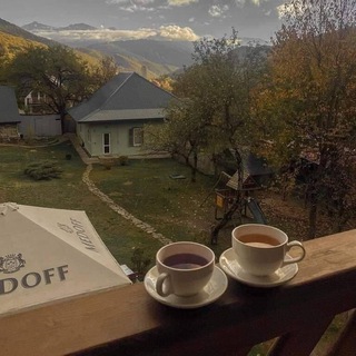 ستوريات
