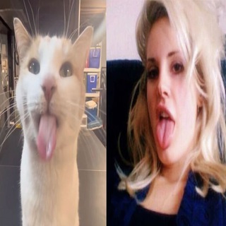 @alizzygrant