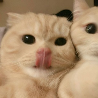 @alk292727