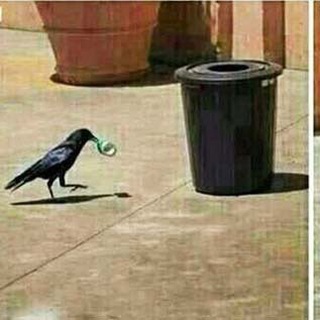 🌏روان پاك،زمين پاك،جهان پاك🌎