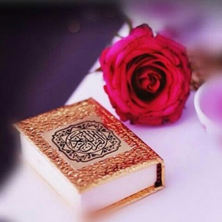 بالقرآن نحيا. .🍁