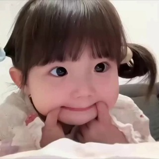 @Alr445