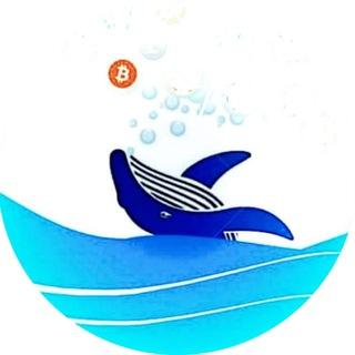 Altcoin Whales