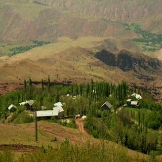 پایگاه اطلاع رسانی توان