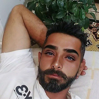 امیر