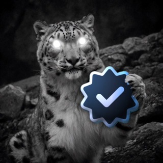 @AMEXVouch