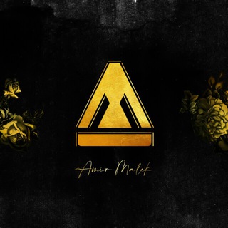 AmirMalek ᴬʳᵗʷᵒʳᵏˢ