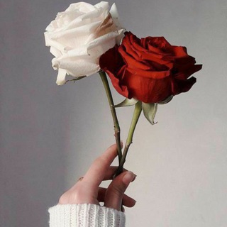 🥀ورود الأﻣ̲ل🥀¤