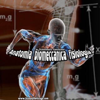 AnatomiaBiomeccanicaFisiologia: Anatomy Biomechanics Physiology / Anatomia Biomeccanica Fisiologia Telegram Channel