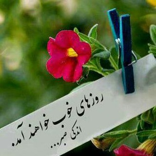 بصیرت