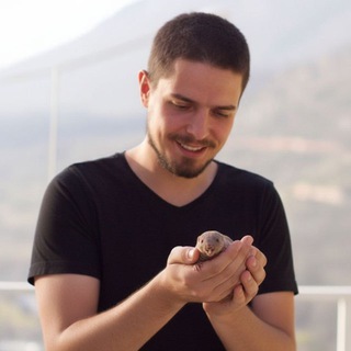 @andreypnfrv