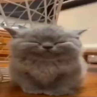 @ang777_wav