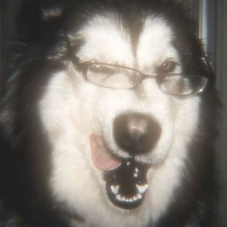 @Angelladogs