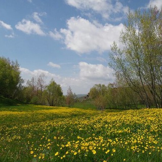 کانال رسمی دهیاری روستای انیلو