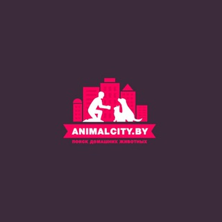 Animalcity.by - эффективный поиск пропавших животных в РБ