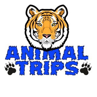 Animal Trips