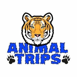 Animal Trips BY
