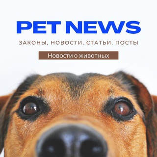 Pet News