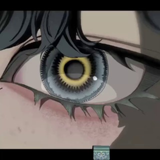 🌀Aɴ&iota;мel🌀